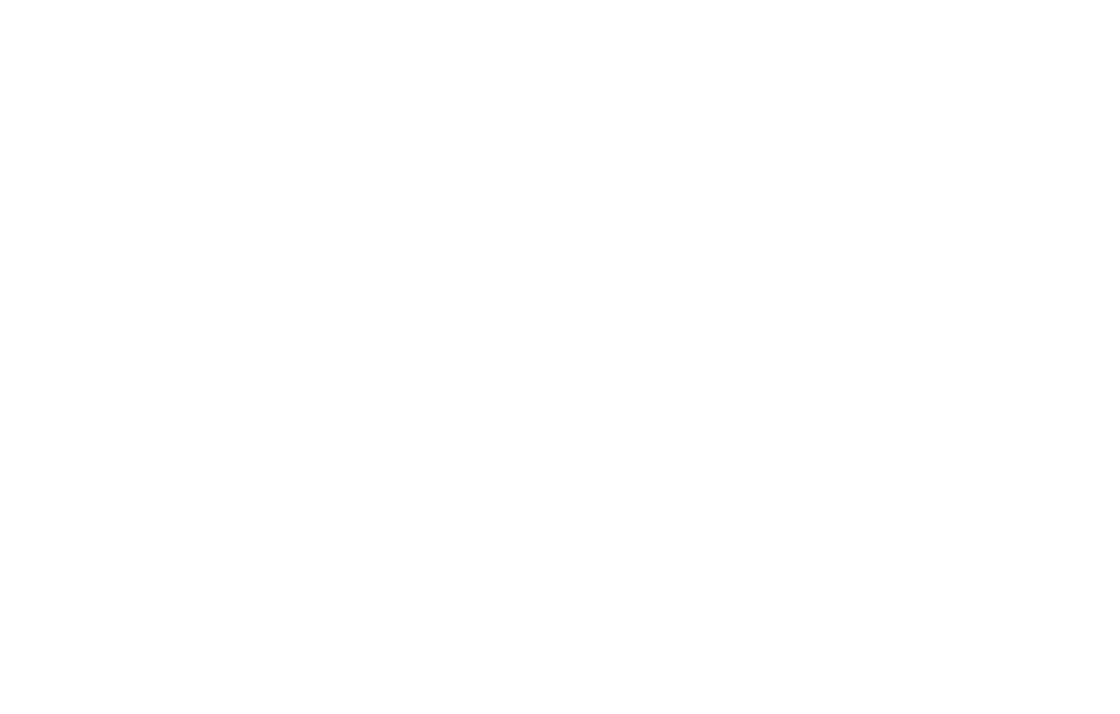 NSS-Logo-white-solo NSS organizer of the Space Settlement Summit 2025 space conference Orlando