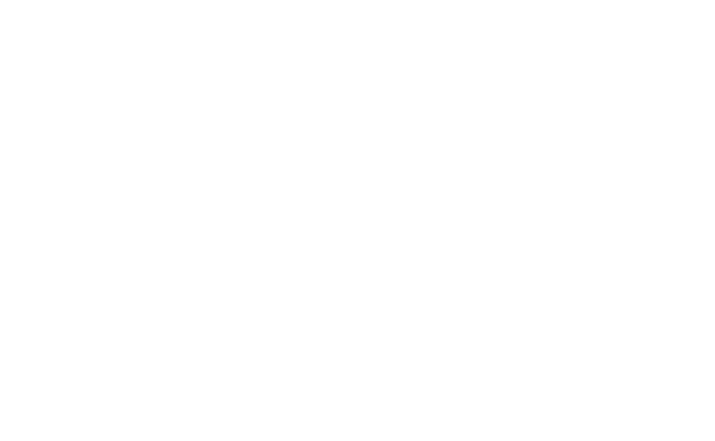 NSS-Logo-White
